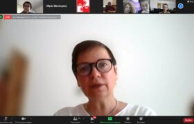 Голова НУО Центр – Розвиток демократії Елла Ламах взяла участь в онлайн-дискусії «На шляху до Стамбульської конвенції: готовність України до ратифікації»
