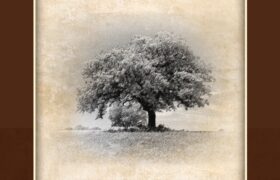 Почуття від втрати близької людини