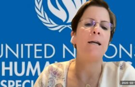 Спеціальна доповідачка ООН з питань насильства проти жінок і дівчат Рім Аль-Салем