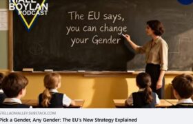 **Обери стать, будь-яку стать: нова стратегія ЄС пояснена**