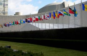 Дипломати ООН розглядають заборону сурогатного материнства за порадою спеціальної доповідачки