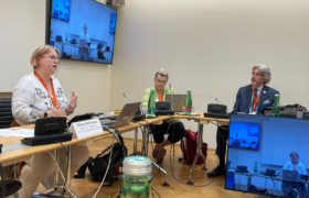 Експертка НУО Центр – Розвиток демократії взяла участь у міжнародній зустрічі у Відні