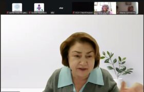 Відбулась онлайн-презентація “Україна на шляху до ЄС: чи готове наше законодавство захищати жінок від усіх форм насильства?”