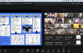 «Центр – Розвиток демократії» долучився до діяльності нової мережі NNST з протидії недержавним тортурам